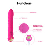 Pulsing Stimulation Pussy and Anal Vibrator