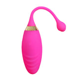 Wireless Fish Vibrator With Remote Control in Pakistan – Vibrator Bullets toys Egg Waterproof for Women